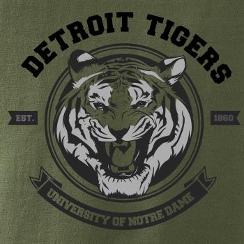 Tiger detroit