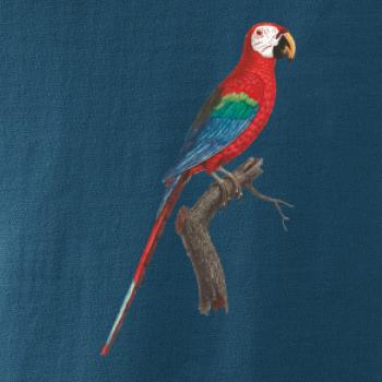 Papagáj červený na vetve