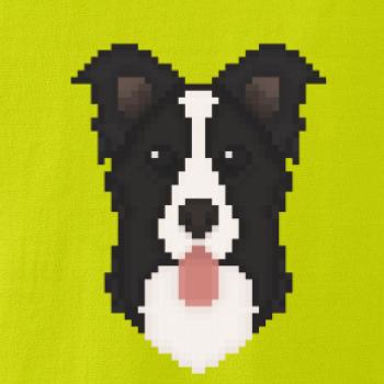 Border kolie Pixel