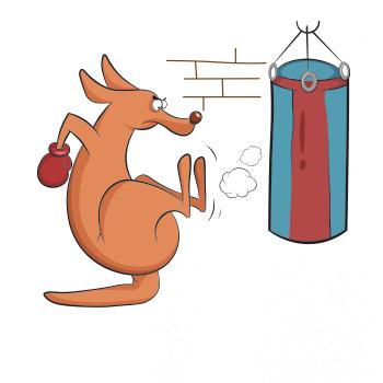 Boxujúci klokan