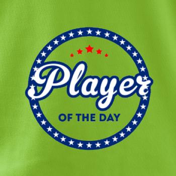 Baseball player of day