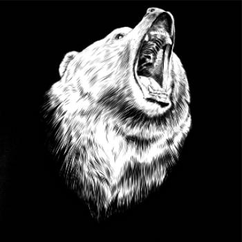 Medveď trošku naštvaný Medveď trošku naštvaný