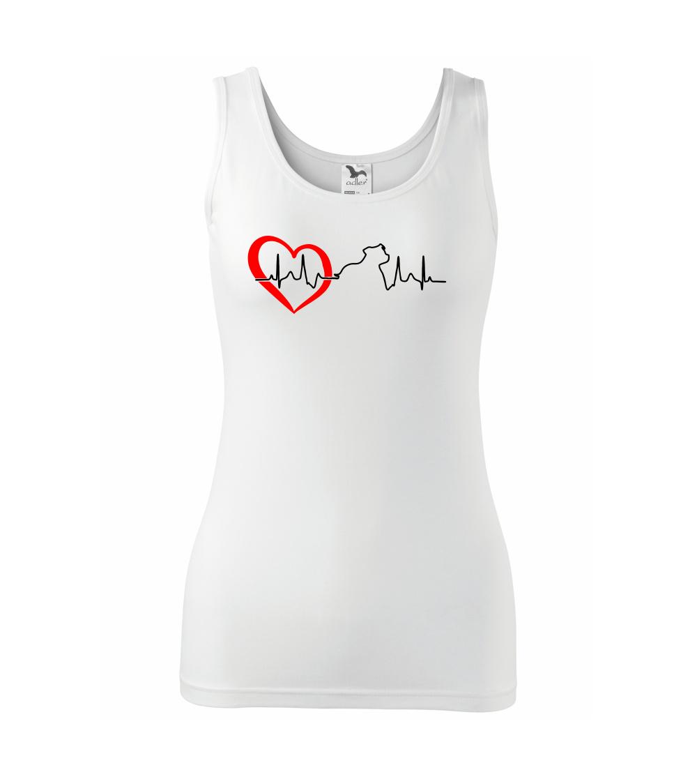 Stafordšírsky bulteriér  EKG Stafordšírsky bulteriér  EKG