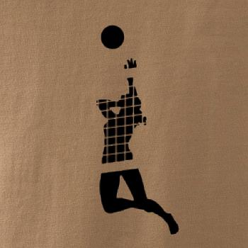 Volejbalistka sieť Volejbalistka sieť