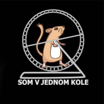 Som v jednom kole