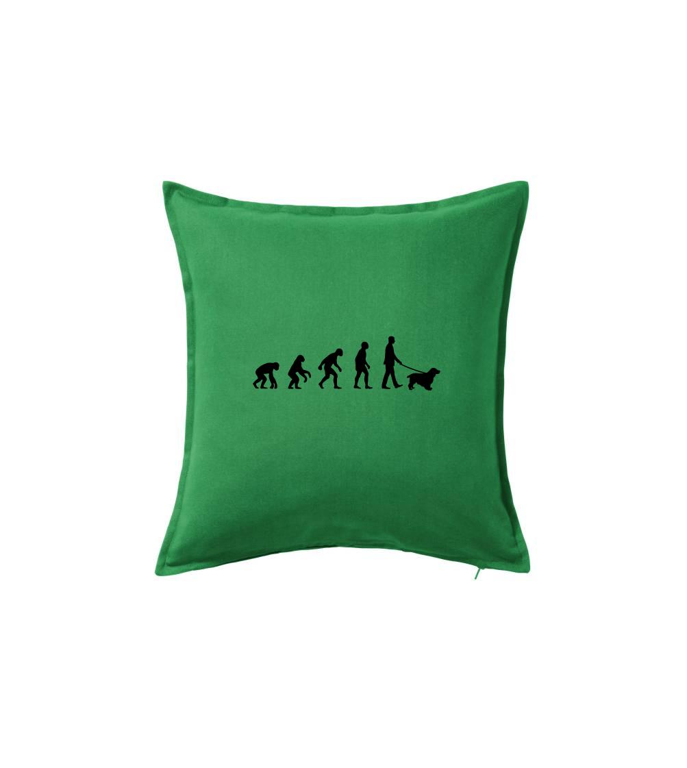 Evolúcia pes kokeršpaniel (muž-žena)