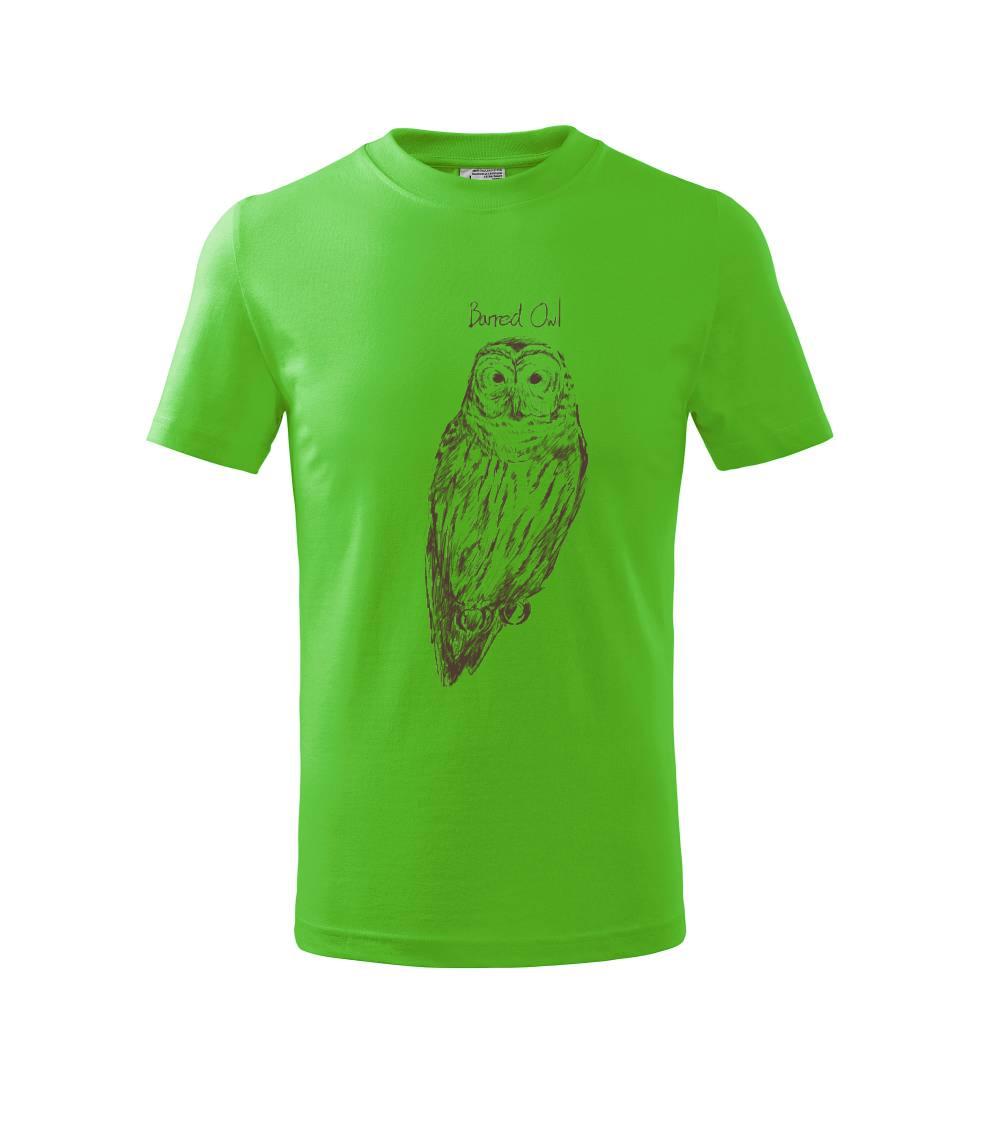 Sova pásikavá  Barred owl