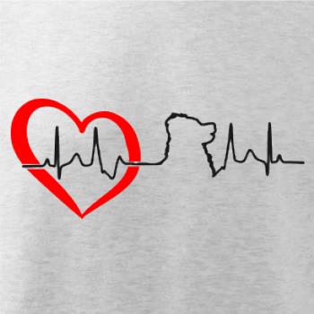 Bernský salašnický pes EKG Bernský salašnický pes EKG