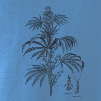 Konope kvietok čiernobiely  