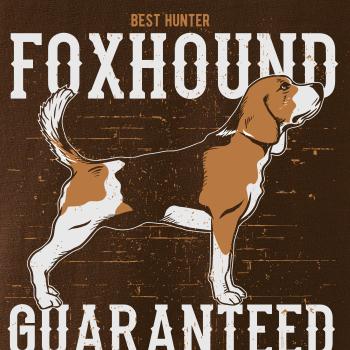 Dog foxhound