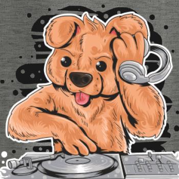 DJ Teddy DJ Teddy