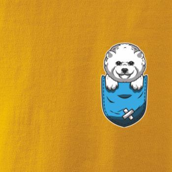 Bišónik v kapsičke