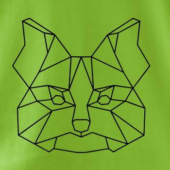 Yorkshirský teriér - Geometria 