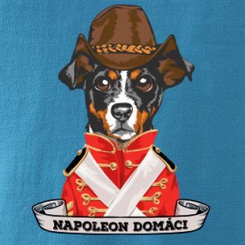 Napoleon domáci kríženec