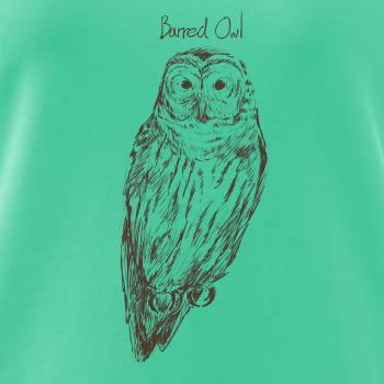 Sova pásikavá  Barred owl