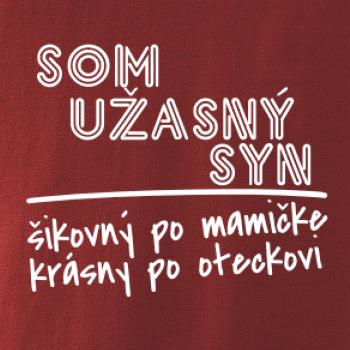 Som úžasný syn