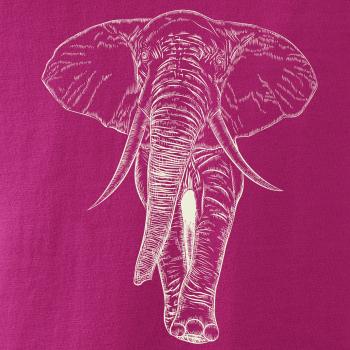 Slon vo farbe slonovej kosti