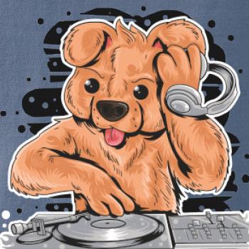 DJ Teddy