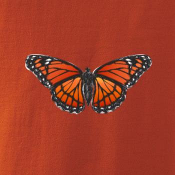 Motýľ Monarcha sťahovavý Motýľ Monarcha sťahovavý