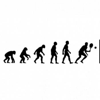 Evolution squash muž-žena