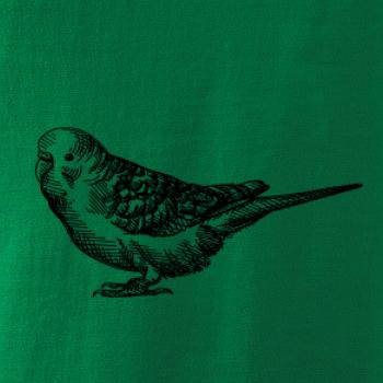 Ceruzkou kreslený Papagáj