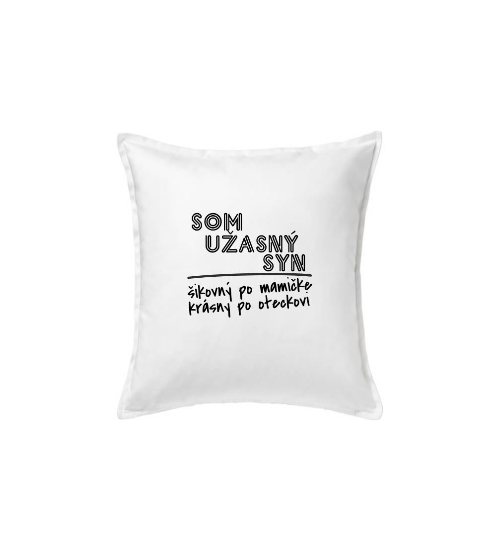 Som úžasný syn