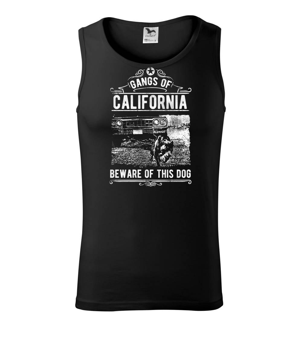 Gangs Of California Gangs Of California