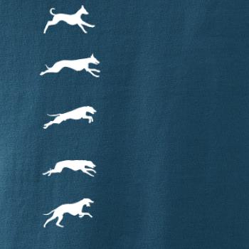 Chrt na výšku Chrt na výšku