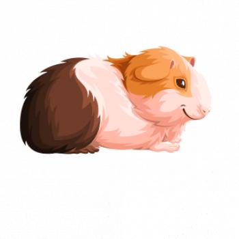 Morče - kreslené z boku