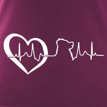 Bernský salašnický pes EKG