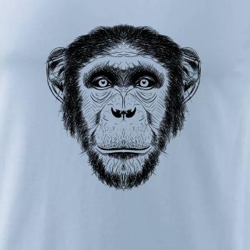 Opica kresba Opica kresba