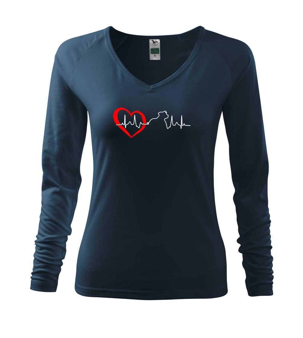 Stafordšírsky bulteriér  EKG Stafordšírsky bulteriér  EKG