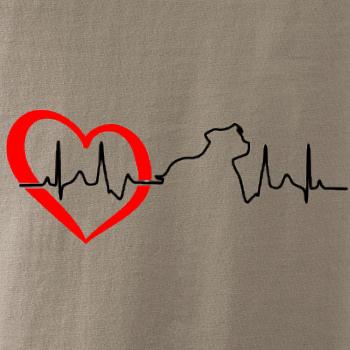 Stafordšírsky bulteriér ‎ EKG