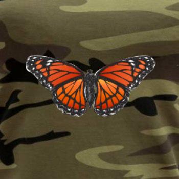 Motýľ Monarcha sťahovavý