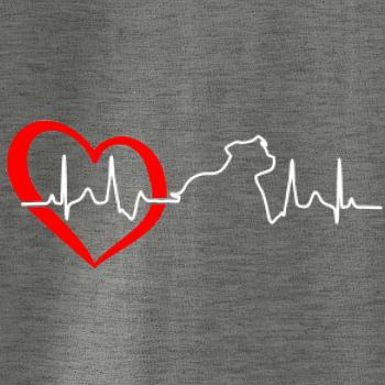 Stafordšírsky bulteriér  EKG Stafordšírsky bulteriér  EKG