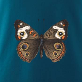 Motýľ motýle Motýľ motýle