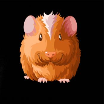 Morča - kreslené spredu