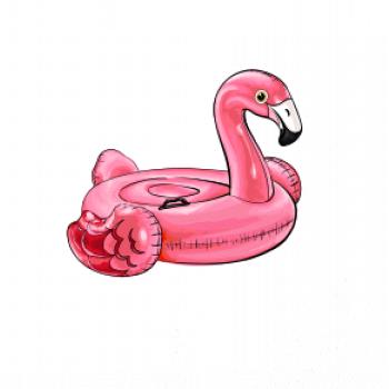 Nafukovacie plameniak