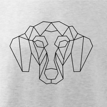 Jazvečík - Geometria 