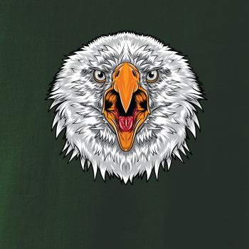  Hlava rozhnevaného orla