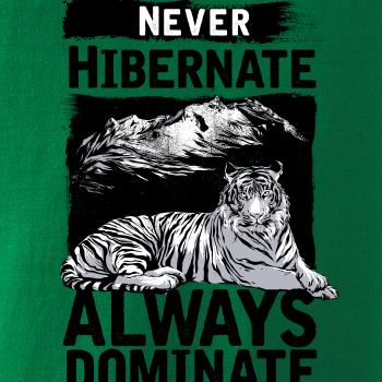 Never Hibernate Never Hibernate