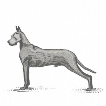 Vintage Great dane