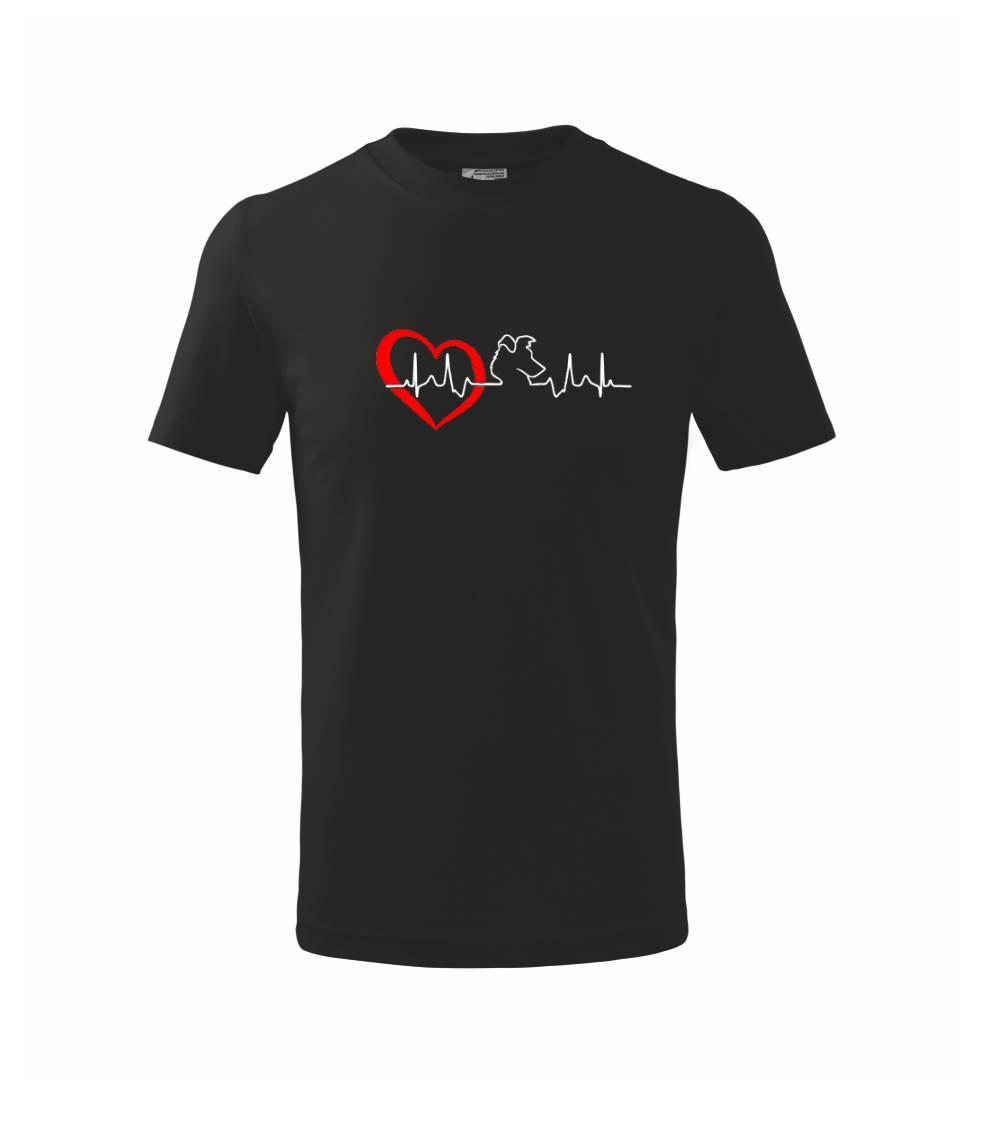 Borderská kólia EKG Borderská kólia EKG