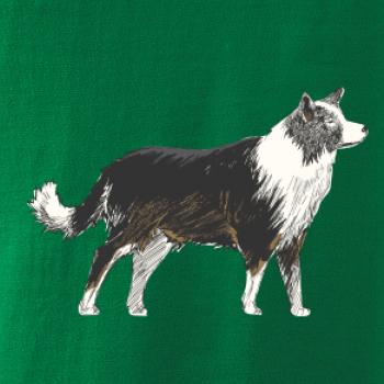 Border kolie kreslená