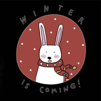 Winter is coming zajac