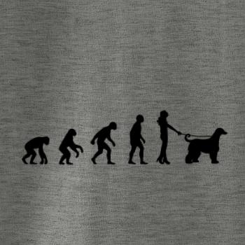 Evolúcia pes afgánsky chrt (muž-žena)