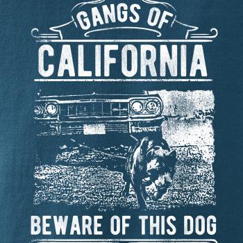 Gangs Of California