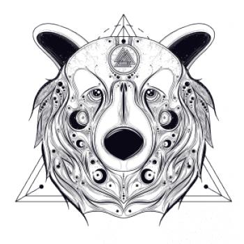 Medveď v trojuholníku