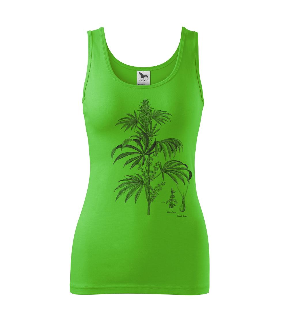 Konope kvietok čiernobiely   Konope kvietok čiernobiely