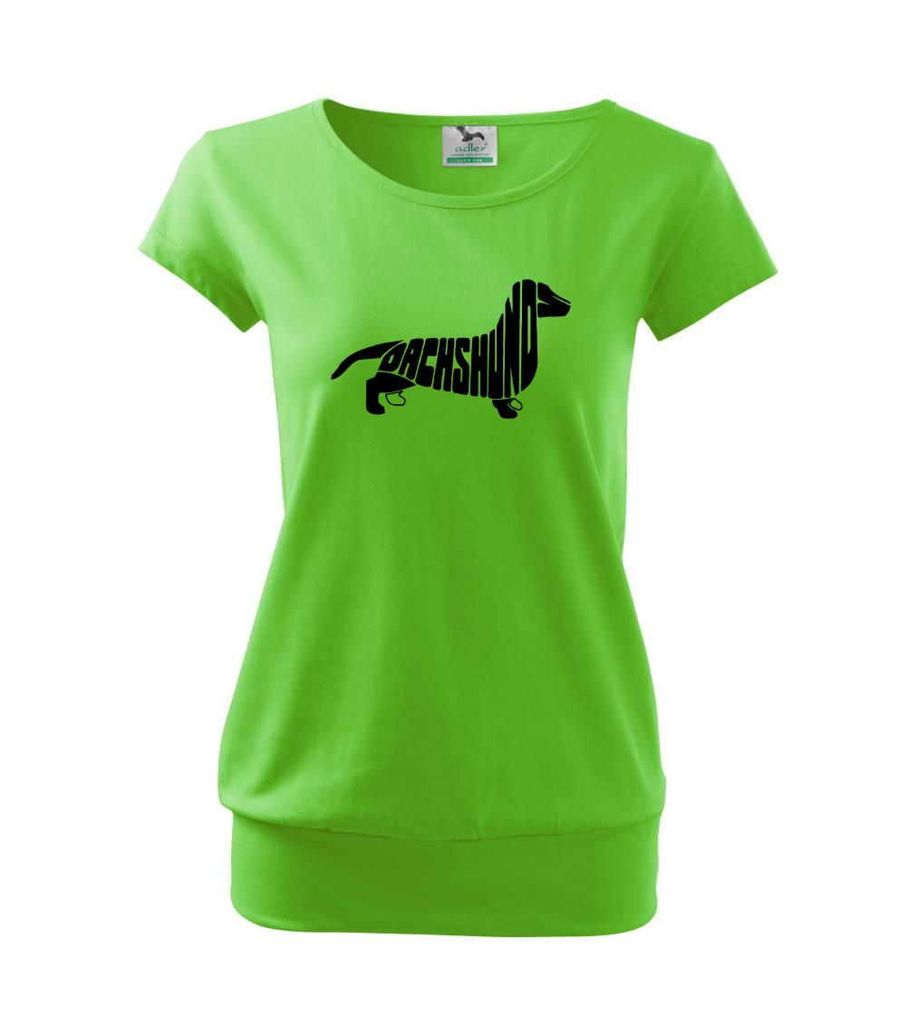 Jazvečík - Dachshund Jazvečík - Dachshund